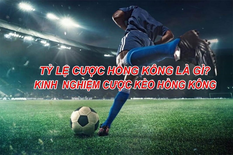 Tỷ lệ cược Hồng Kông là gì và cách chơi cược Hồng Kông 7 Tỷ lệ cược Hồng Kông là gì và cách chơi cược Hồng Kông 7